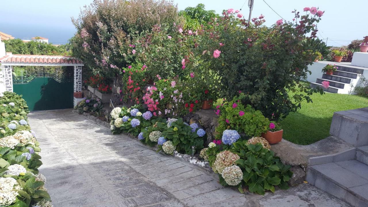 Casas Hoya Limpia- Solo Adultos